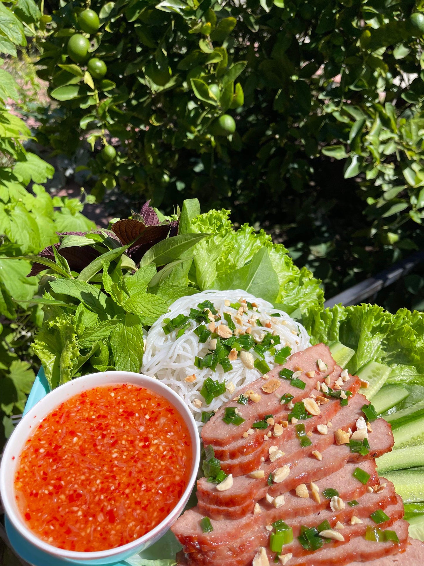 Nem nướng Tiêu Hột- Nem Nuong Pepper NO MSG- 14 oz